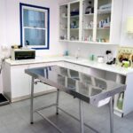 Clinica Veterinaria San Martino Genova